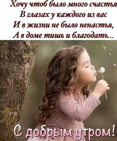 tkYKOvdN6Hs