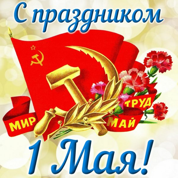 IMG-20190501-WA0036