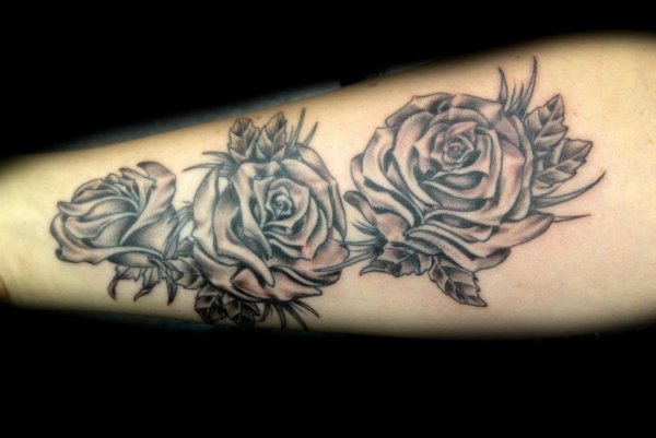 Tattoo (4553)