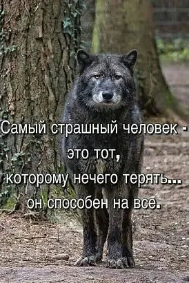 IMG 20211215 201010