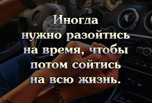 picture_134865075