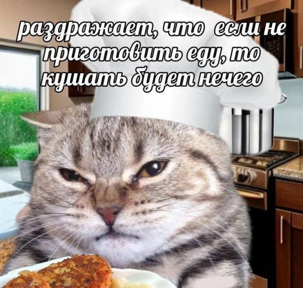 picture_412869598