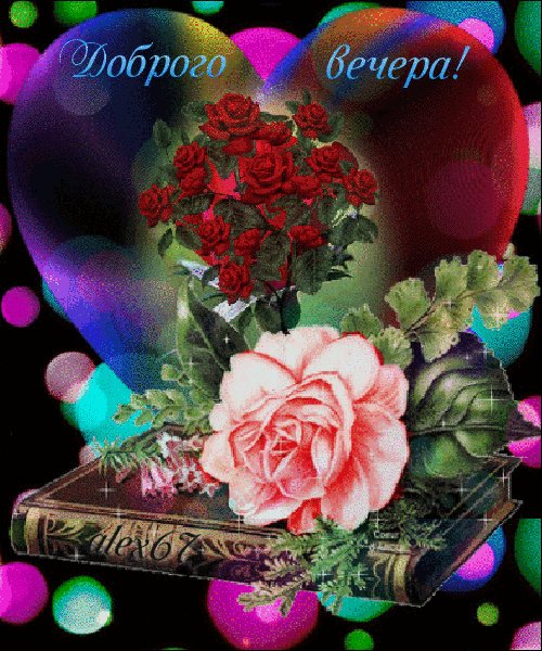 IMG 20220226 201751