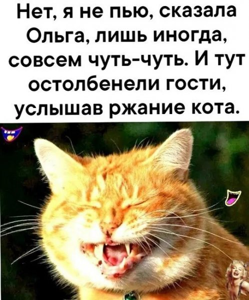 Опаньки!
