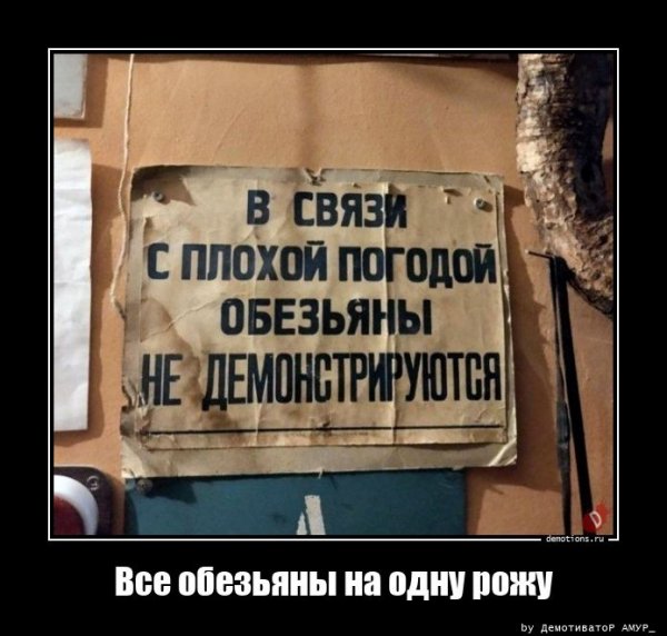 picture_399964510