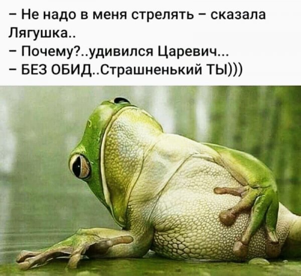 сказка 020080