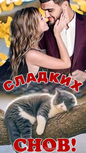Любовь