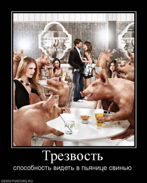 Demotivator (60)