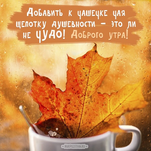 утро