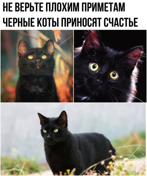 Так!