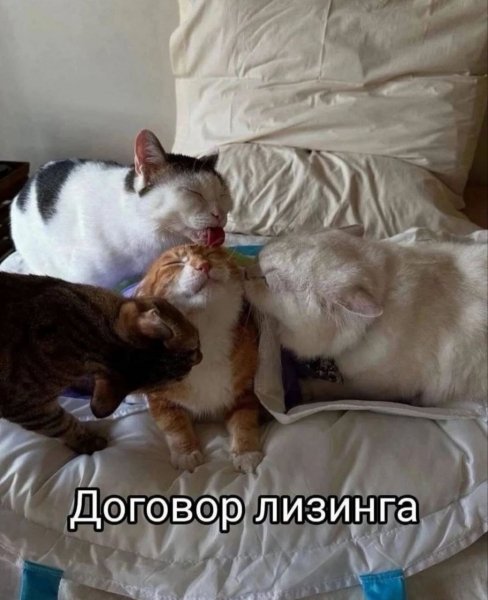 picture_412697555