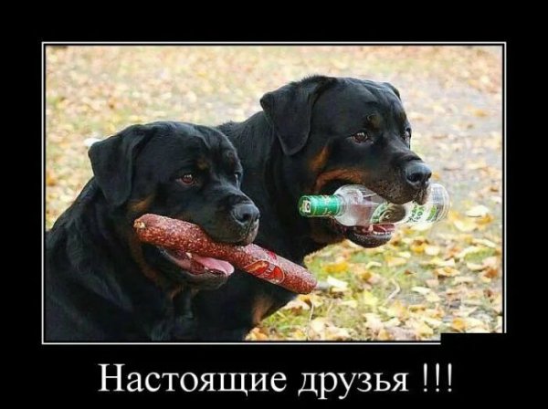 Да! ))