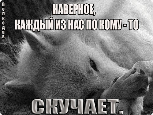 picture_212345815