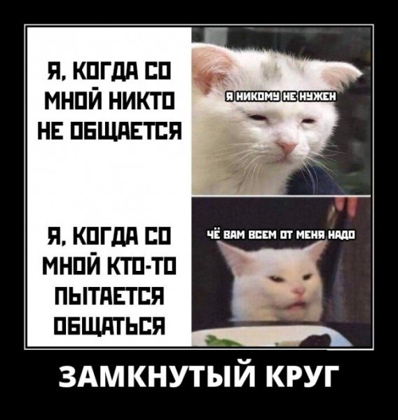 picture_247771562