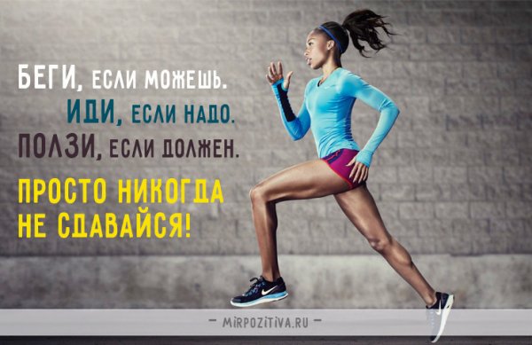 Никогда не сдавайся!