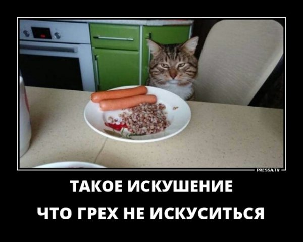 tmp-cam--31428174