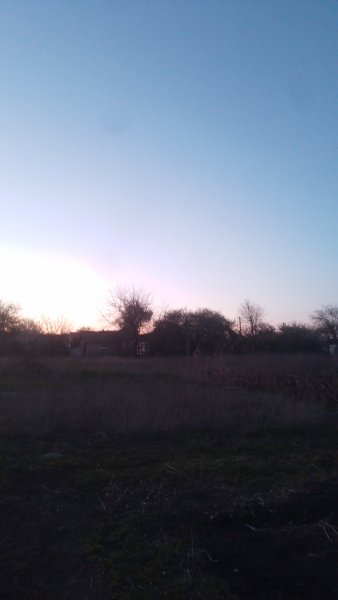picture_411543115