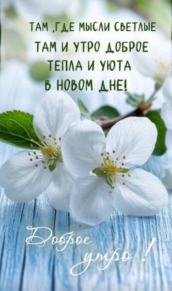 picture_411519330