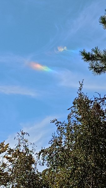 picture_400670412