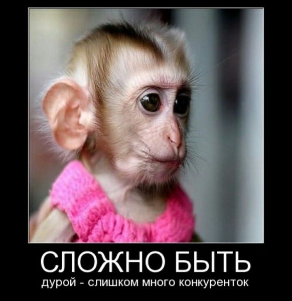 pics
