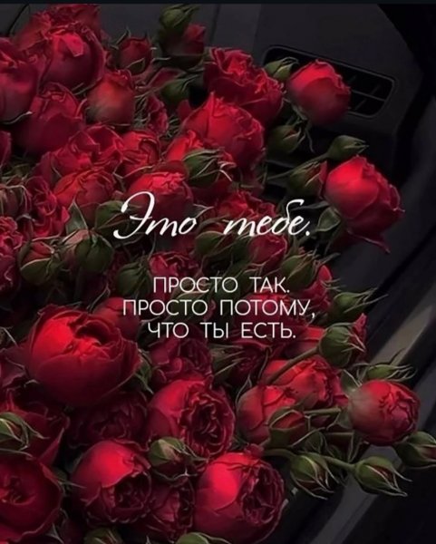 WylzeoLX 5aViUH2RH8lRNbkjAsWtfTQT5qaIqDZ4IFwMJ4wySH3E s3ajB
