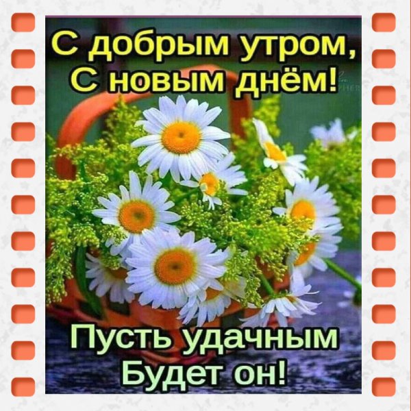 Dobroe-utro-romashki-v-korzine