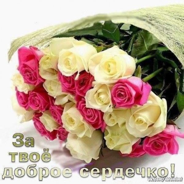FB IMG 1615616595766