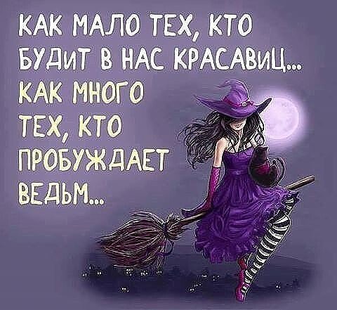 image (3) (24)