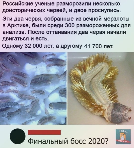 uy4IzNO6DjE