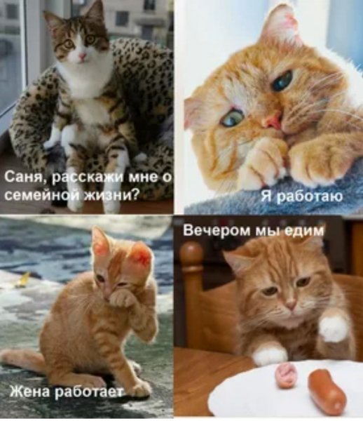 Вечером мы едим
