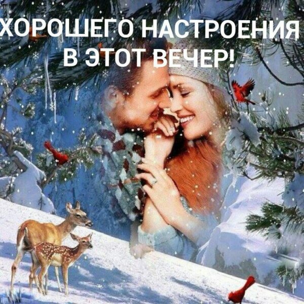 Любовь