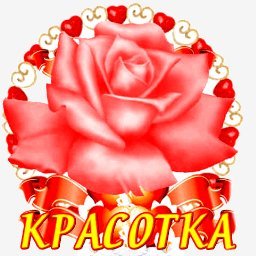 роза