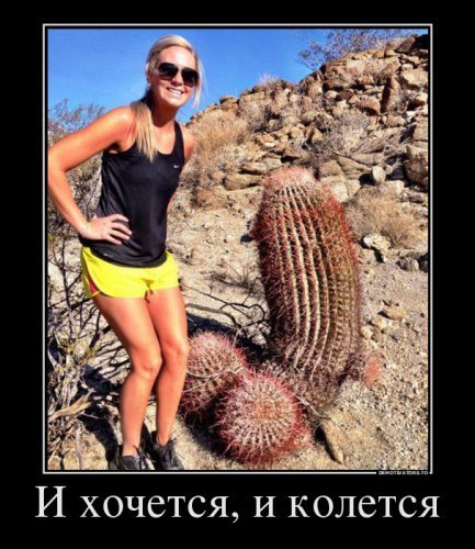 demki
