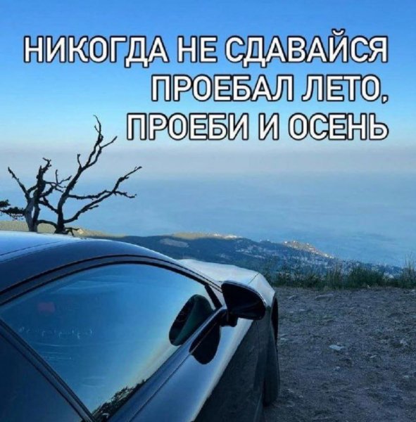 picture_412949492