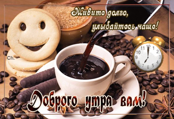 IMG 20211113 014156