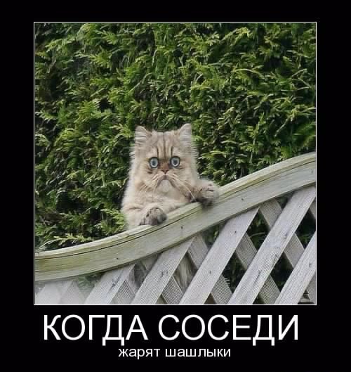 ))