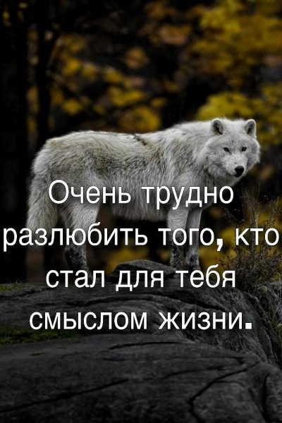 FB76M0 5xUw