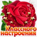 роза