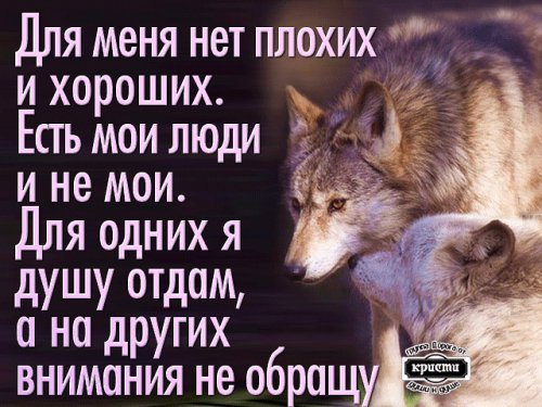 picture_206669676
