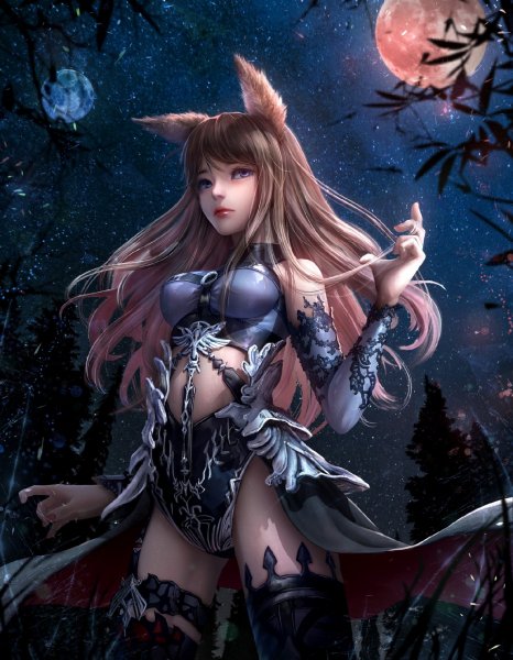 fantasy art animal ears-267675