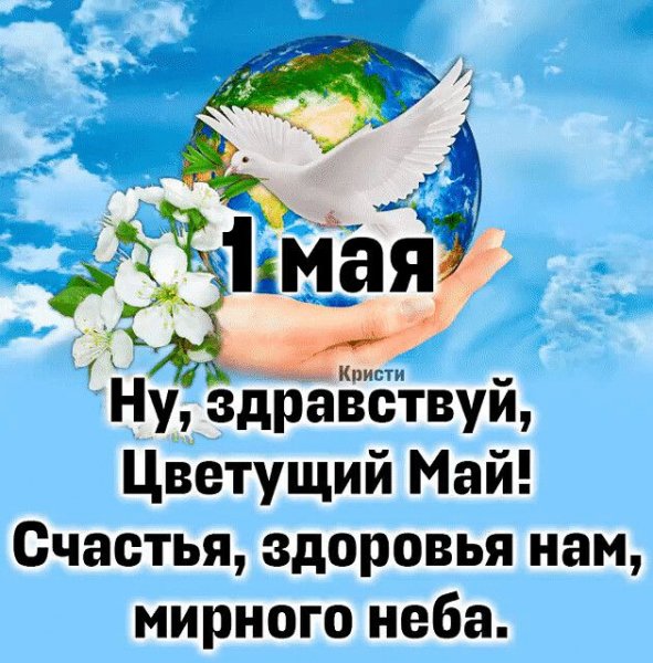 c8c1cb50ce1a4cbf16db4f8a241b