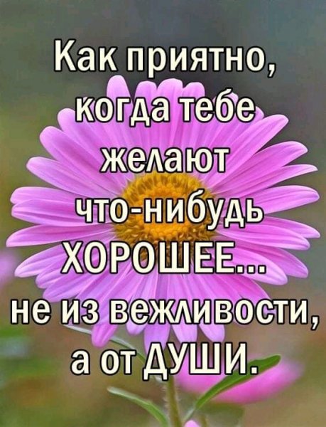 FB IMG 16240113342025815