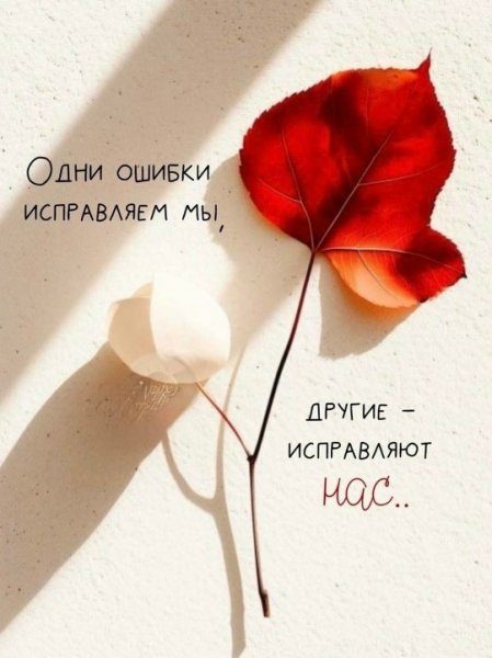 FbKkKobHkRgRA5dgv5bH3jS8opJ6Q7mDPSpRMUtS9sCuSkuXKBSJ3sUrSUAH