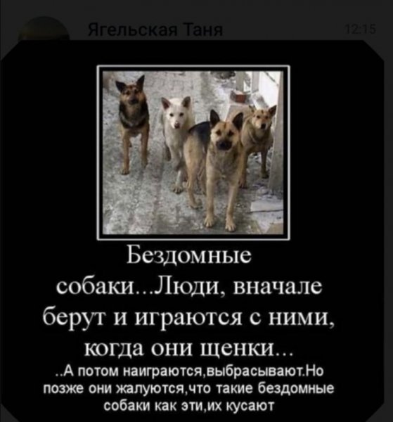 Без комментариев