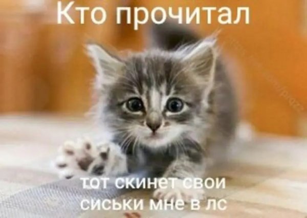 picture_412948643