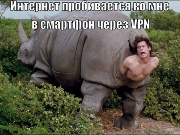 IMG 20260508 092029 392