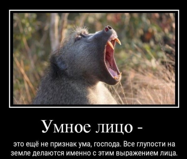 Умное лицо