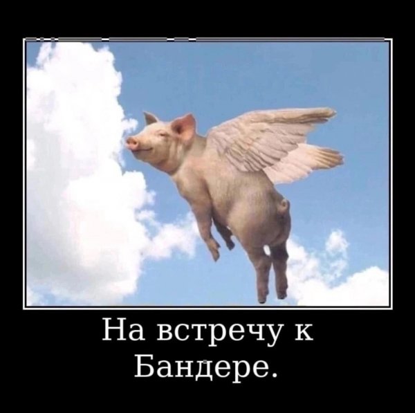 IMG 20251122 162058