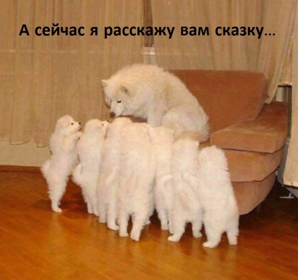 IMG 20170123 122756 0