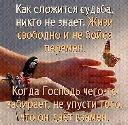 picture_298493442